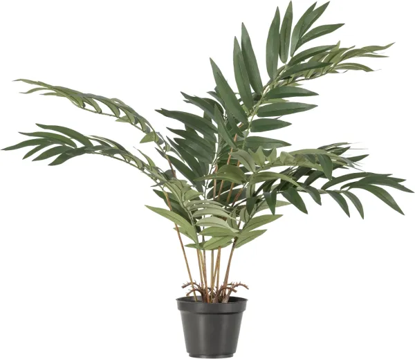 Kwai, Planta artificial, verde, H68x50x51 cm