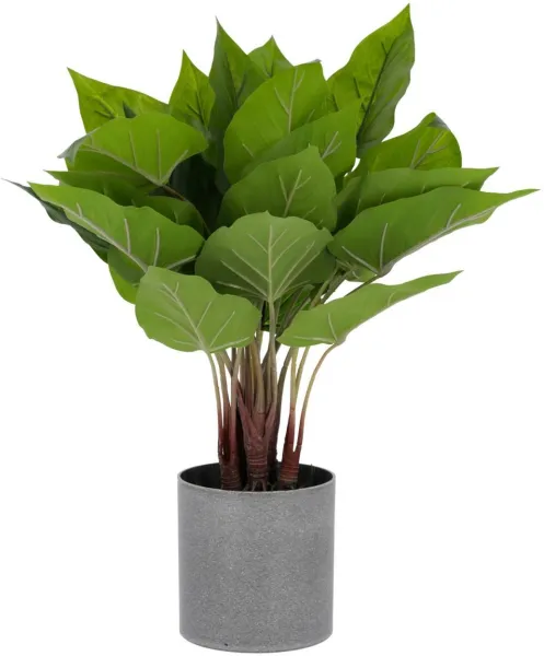 Anthurium, Planta artificial, verde/gris, H50x40x40 cm
