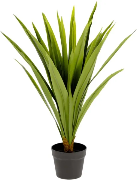 Yucca, Planta artificial, verde/negro, H80x60x60 cm