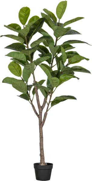 Árbol de caucho, planta artificial, verde, H135x74x55 cm
