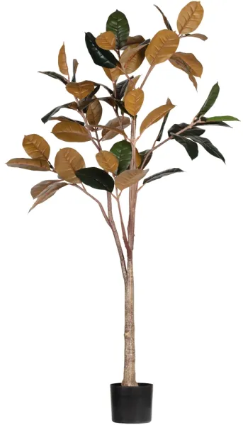 Rubber, Planta artificial, verde, H170x106x63 cm