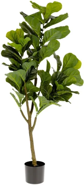 Ficus, Planta artificial, verde/negro, H150x60x60 cm