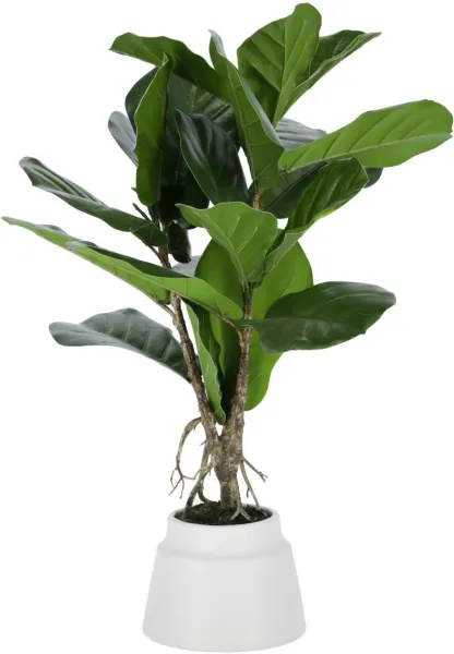 Lyrata, Planta artificial, verde/blanco, H60x30x30 cm