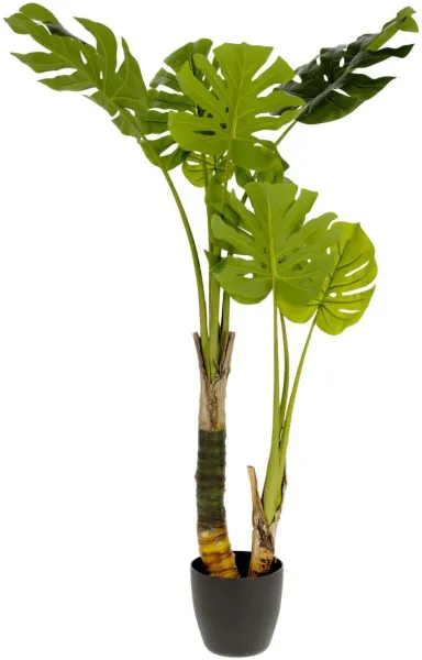 Monstera, Planta artificial, verde/negro, H130x60x60 cm