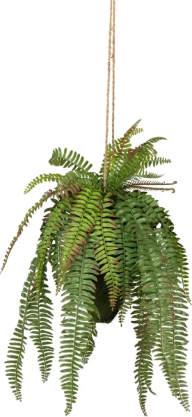 Helecho, Planta artificial, verde, H58x30x30 cm